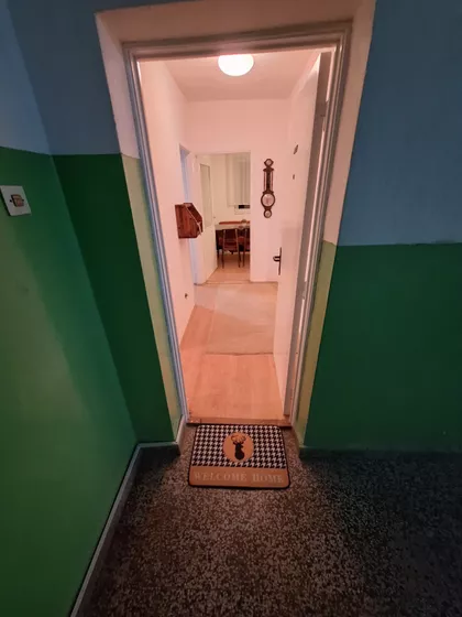 Paje Jovanovića 11 | 4zida.rs