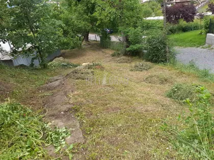 Miška Erčevića | 4zida.rs