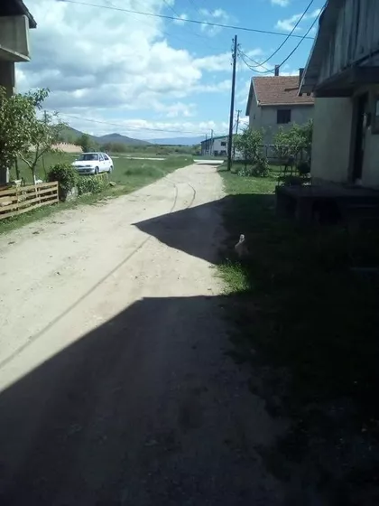 Suvi Dol | 4zida.rs