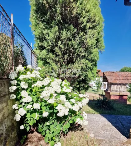 Železnička | 4zida.rs