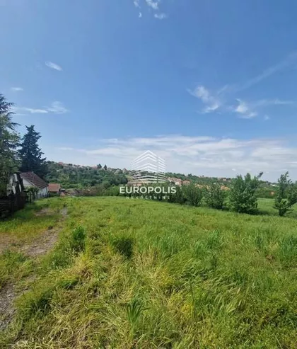 Ostružnica | 4zida.rs