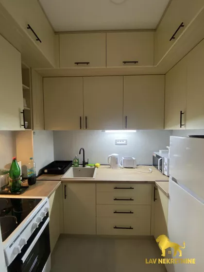 JERNEJA KOPITARA | 4zida.rs