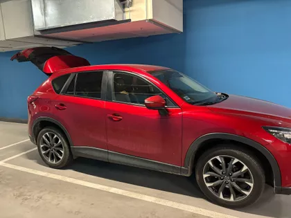 Venizelosova | 4zida.rs