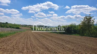 Milorada Markovića Miće