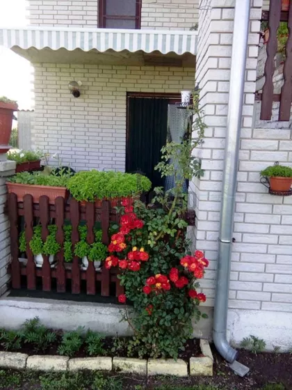 Zlotska | 4zida.rs