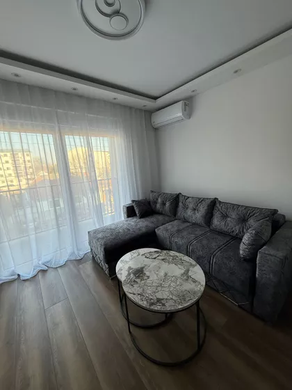 Cara Dušana | 4zida.rs