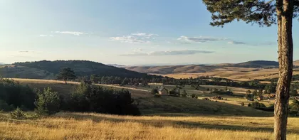 Šainovci | 4zida.rs