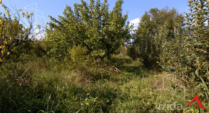 Plac | 4zida