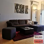 Novi Sad, Gradske lokacije, Salajka | 4zida.rs | 4zida.rs