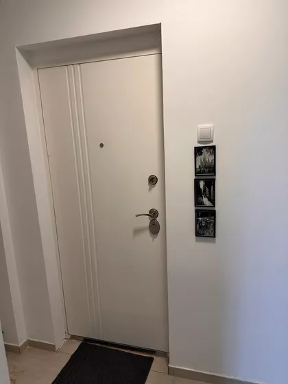 Gospodara Vučića | 4zida.rs