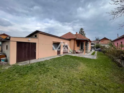 Dalmatinska | 4zida.rs