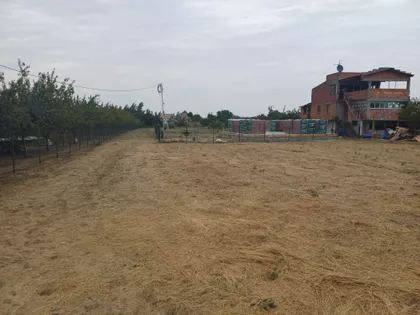 Kajmakčalanska | 4zida.rs