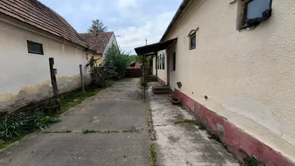 Klenak | 4zida.rs
