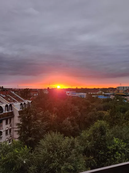 Đorđa Nikšića Johana 25 | 4zida.rs