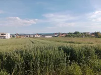 Futog, Okolne lokacije, Novi Sad | 4zida.rs