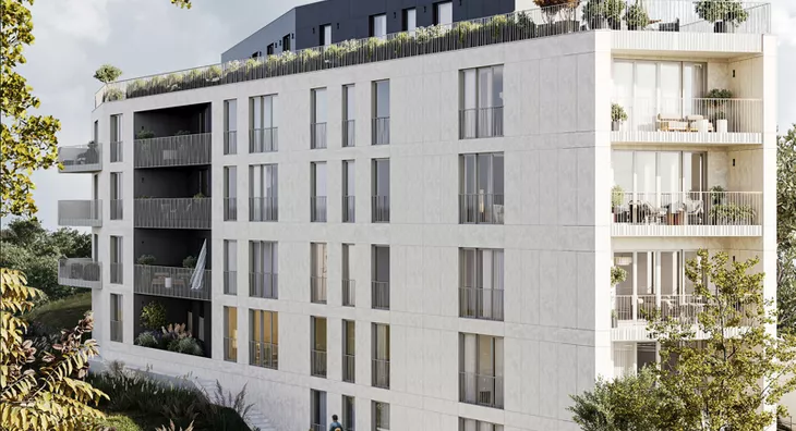 Glavna slika projekta Inobačka Dedinje