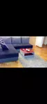 Beograd, Novi Beograd, Blok 25 - Arena | 4zida.rs | 4zida.rs