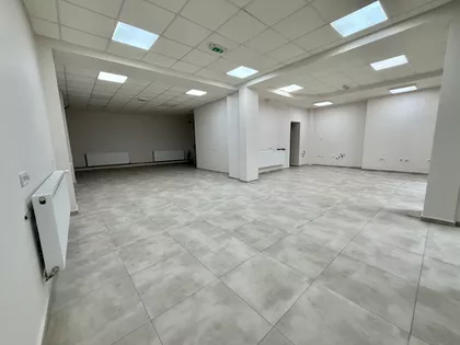 Vase Stajića | 4zida.rs