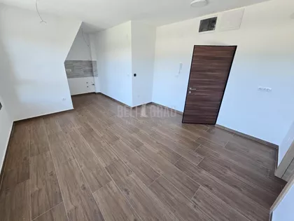 Belog narcisa | 4zida.rs