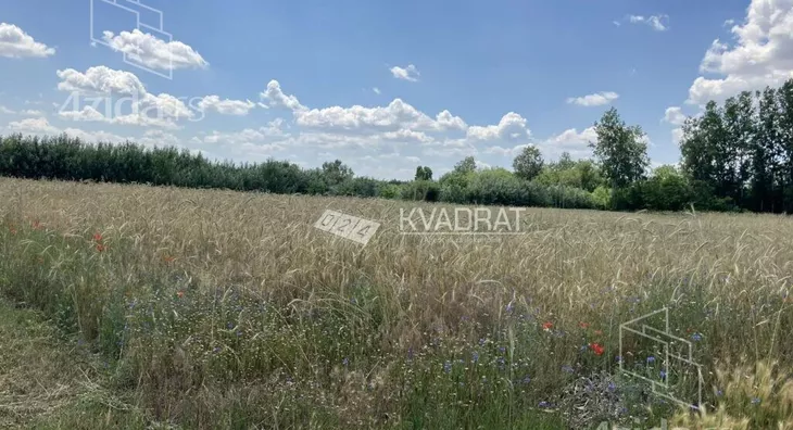 Poljoprivredno zemljište | 4zida