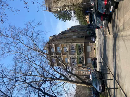 Radoja Dakica | 4zida.rs