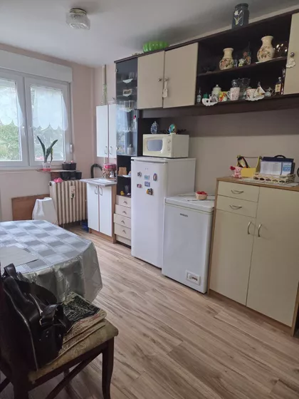 Radijalac | 4zida.rs