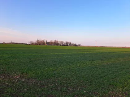 Međunarodni Put 247 | 4zida.rs