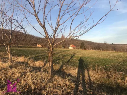 Okolne lokacije | 4zida.rs
