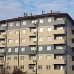Centar, Gradske lokacije, Jagodina | 4zida.rs | 4zida.rs