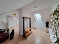 Liman 1, Liman, Gradske lokacije, Novi Sad | 4zida.rs | 4zida.rs