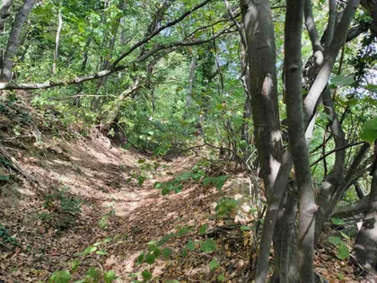 Okolne lokacije | 4zida.rs