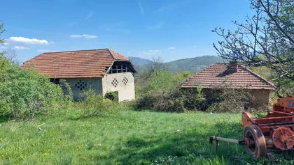 Bačevička | 4zida.rs