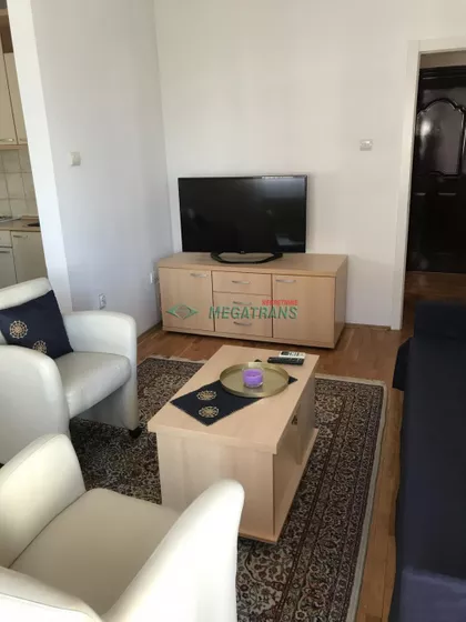 Vase Pelagića | 4zida.rs