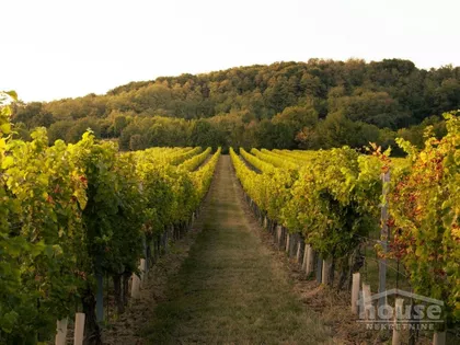Banstol - Vikend Naselje | 4zida.rs