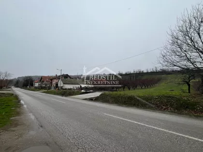 Zmaj Jovina | 4zida.rs