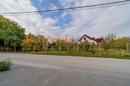 Patrijarha Pavla | 4zida.rs