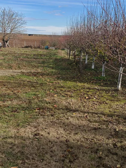 Okolne lokacije | 4zida.rs