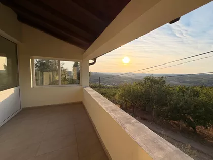 Srpsko-Grčkog Prijateljstva | 4zida.rs