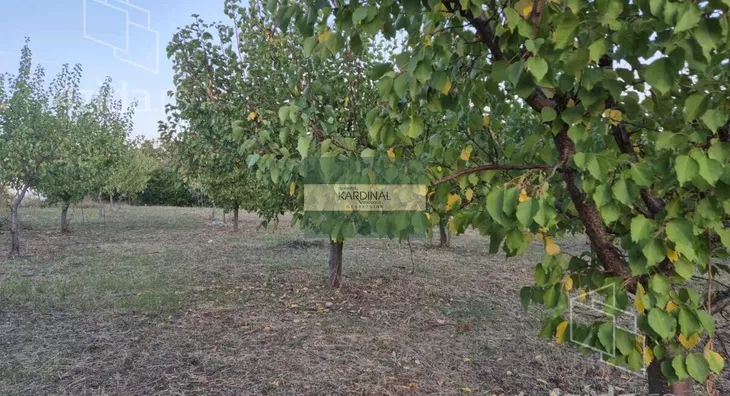Poljoprivredno zemljište | 4zida