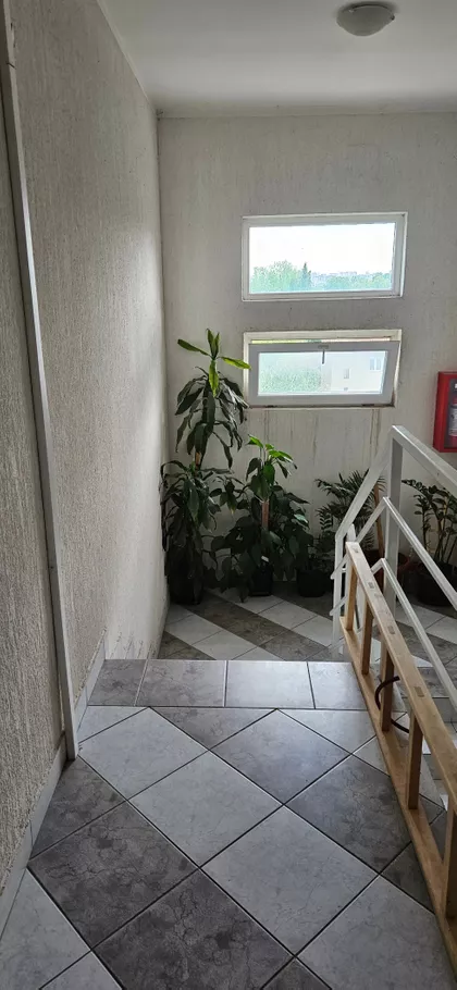 Koste Bogdanovića | 4zida.rs