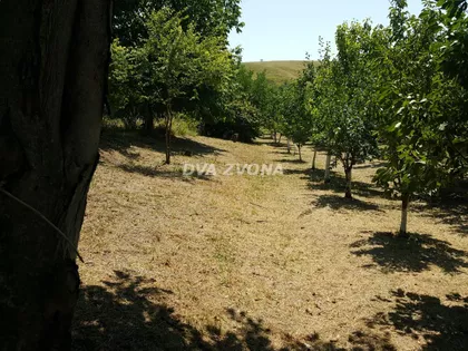 Čortanovci | 4zida.rs