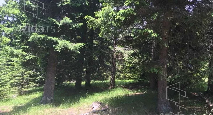Plac | 4zida
