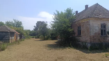 Koste Abraševića | 4zida.rs