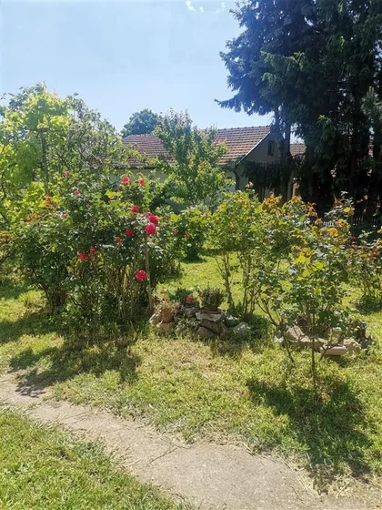 Palić | 4zida.rs