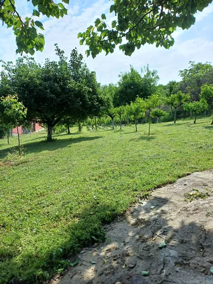 Tihomira Arsića 154 | 4zida.rs