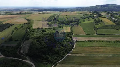 Vrdnik | 4zida.rs