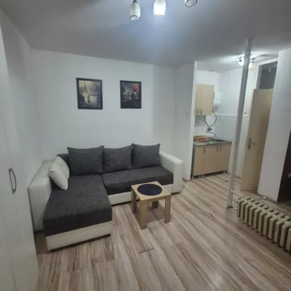 Luja Pastera 8 | 4zida.rs