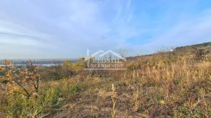 Višnjica | 4zida.rs