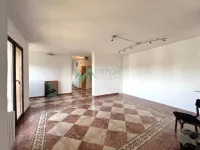 Novi Sad, Gradske lokacije, Liman, Liman 1 | 4zida.rs | 4zida.rs