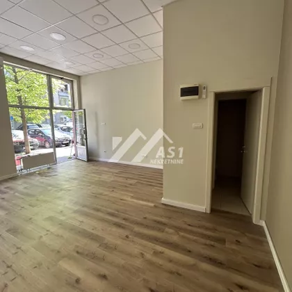 Dr Svetislava Kasapinovića | 4zida.rs